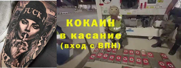 крисы Аркадак