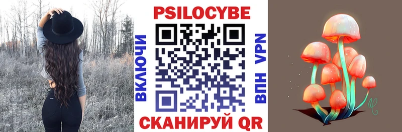 Псилоцибиновые грибы MAGIC MUSHROOMS  Берёзовский 